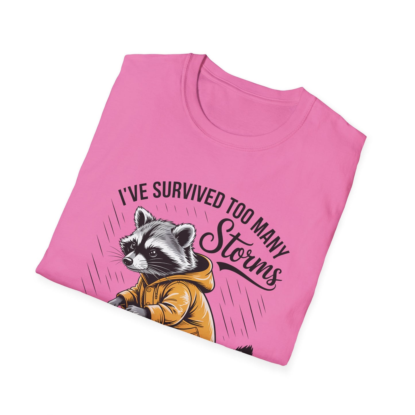 Raccoon Resilience